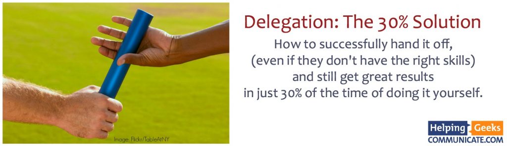 Delegation - the 30 percent solution logo